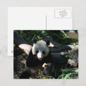 Nachmittagsjause Postkarte (Vorne/Hinten)