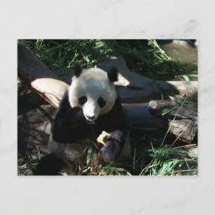 Nachmittagsjause Postkarte