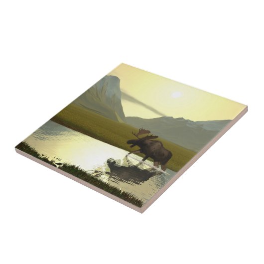 Nachmittagsmoose Fliese (Seite)