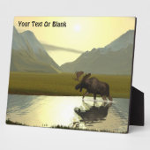 Nachmittagsmoose Fotoplatte (Seite)