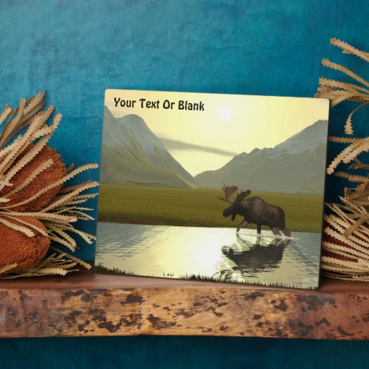 Nachmittagsmoose Fotoplatte (Seite)