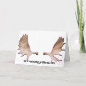 Nachmittagsmoose Karte (Rückseite)