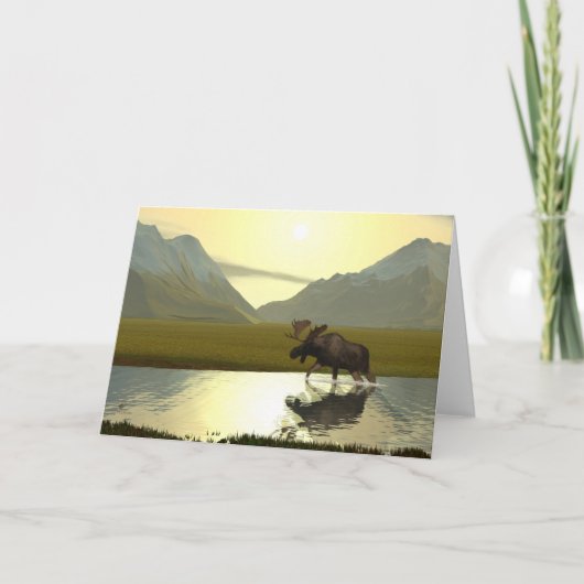 Nachmittagsmoose Karte (Vorderseite)