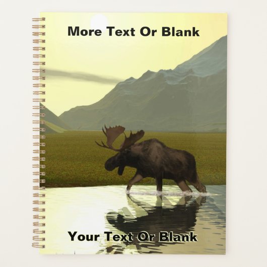 Nachmittagsmoose Planer (Vorderseite)