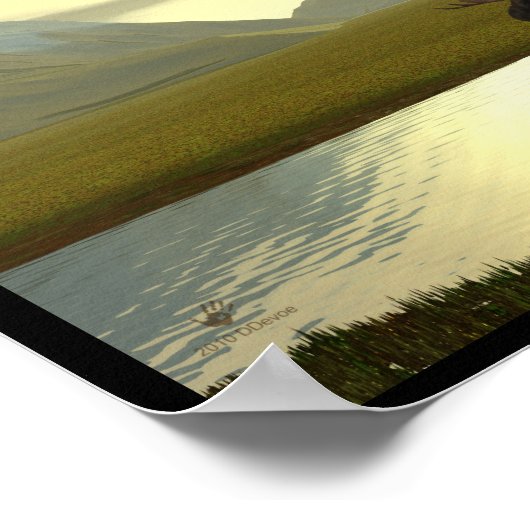 Nachmittagsmoose Poster (Ecke)