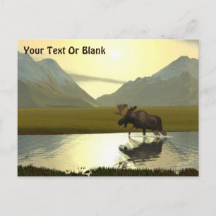 Nachmittagsmoose Postkarte