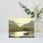 Nachmittagsmoose Postkarte (Stehend Vorderseite)