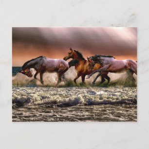 Nachmittagsspass im Surf Postkarte