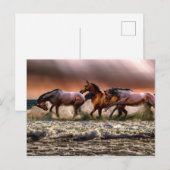 Nachmittagsspass im Surf Postkarte (Vorne/Hinten)