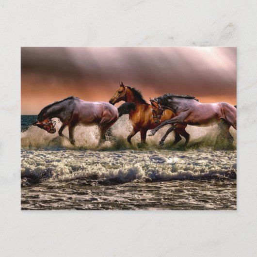 Nachmittagsspass im Surf Postkarte (Vorderseite)