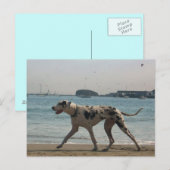 Nachmittagsspaziergang III Postkarte (Vorne/Hinten)