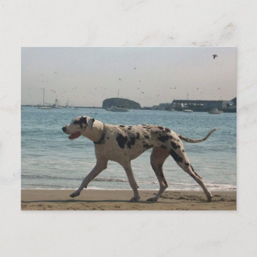 Nachmittagsspaziergang III Postkarte (Vorderseite)