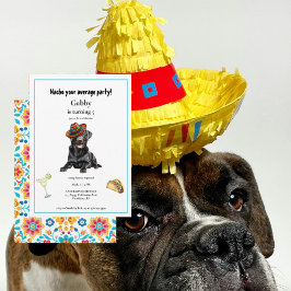 Nacho Ihr durchschnittlicher Hund Sombrero Einladu Einladung