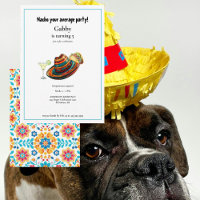 Nacho Ihr durchschnittlicher Hund Sombrero Taco Ei