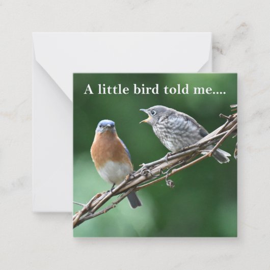 Nachrichtennotecard Mitteilungskarte (Vorderseite)