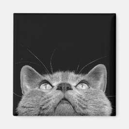 Nachschlagen des Magneten Magnet