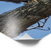 Nachschlagen Fotodruck (Ecke)