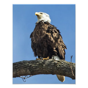 Nachschlagen Fotodruck