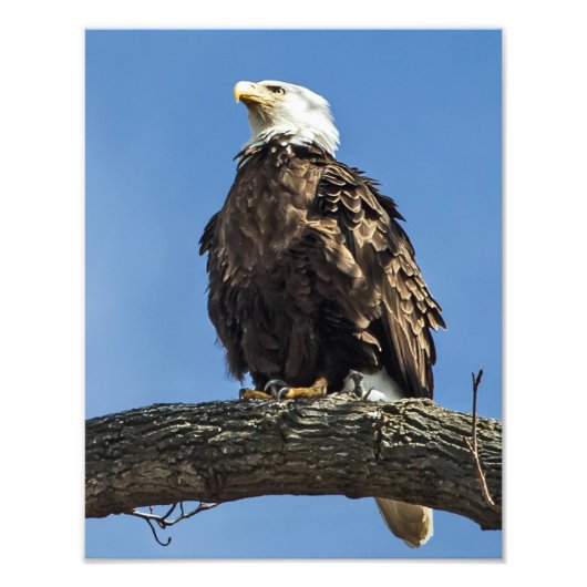 Nachschlagen Fotodruck (Vorne)