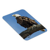 Nachschlagen Magnet (Rechte Seite)