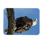 Nachschlagen Magnet (Horizontal)