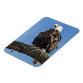 Nachschlagen Magnet (Linke Seite)