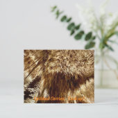 nachschlagen postkarte (Stehend Vorderseite)