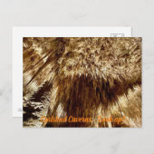 nachschlagen postkarte (Vorne/Hinten)