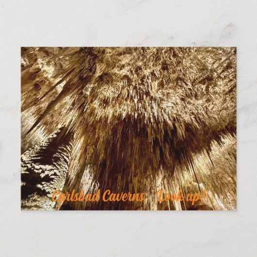 nachschlagen postkarte (Vorderseite)