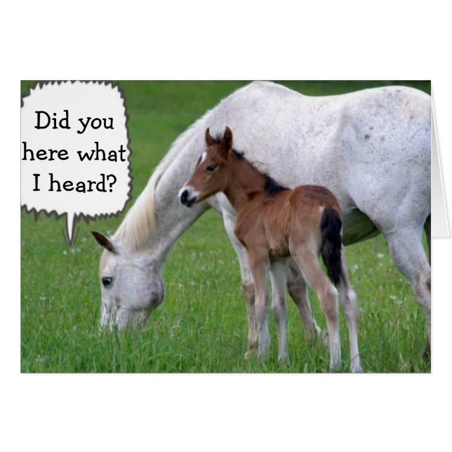 NÄCHST KÖNNEN SIE NICHT "30" SÄMTLICH PONY UND PFE (Vorderseite (Horizontal))