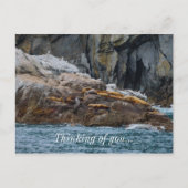 Nächste Zeile Postkarte (Vorderseite)