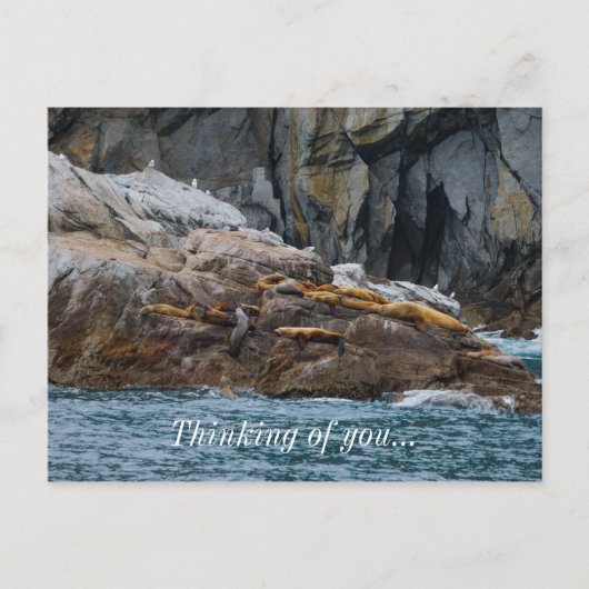 Nächste Zeile Postkarte (Vorderseite)