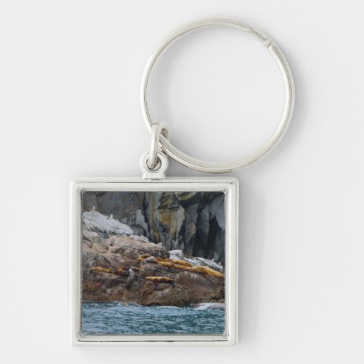 Nächste Zeile Schlüsselanhänger (Vorne)