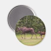 Nachstehend in Mamas Magnet (Vorderseite/Rückseite)