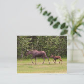 Nachstehend in Mamas Postkarte (Stehend Vorderseite)