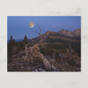 Nächstenliebe Postkarte