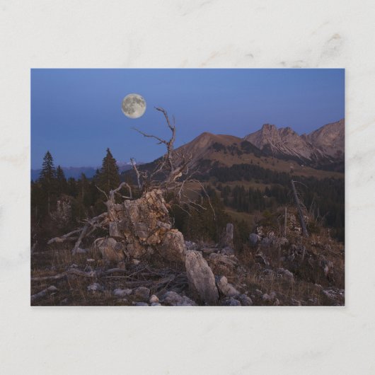 Nächstenliebe Postkarte (Vorderseite)