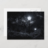 Nacht im Central Park, NYC Postkarte (Vorne/Hinten)