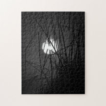 Nacht im Puzzle du Pond