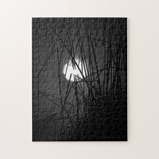 Nacht im Puzzle du Pond (Vertikal)