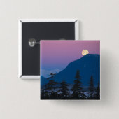 Nacht in Alaska Button (Vorne & Hinten)