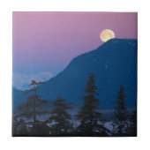 Nacht in Alaska Fliese (Vorderseite)