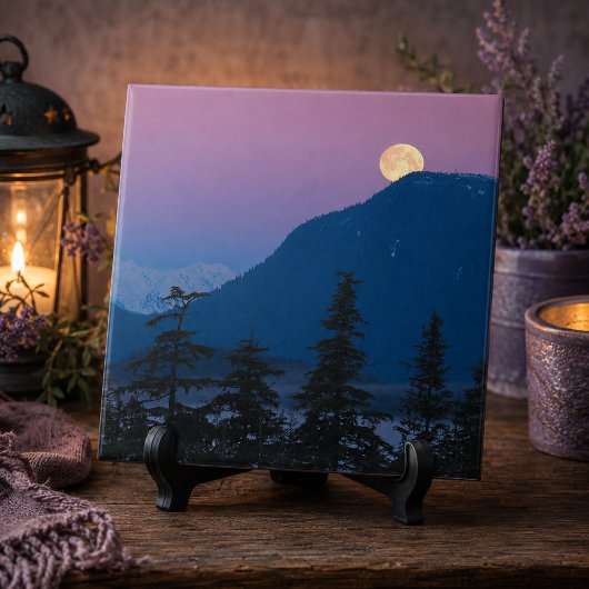 Nacht in Alaska Fliese