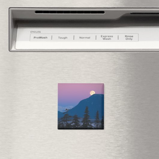 Nacht in Alaska Magnet (In Situ (Geschirrspüler))