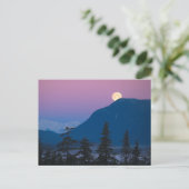 Nacht in Alaska Postkarte (Stehend Vorderseite)