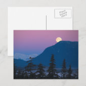 Nacht in Alaska Postkarte (Vorne/Hinten)
