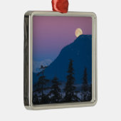 Nacht in Alaska Silbernes Ornament (Rechts)