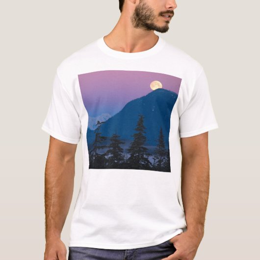 Nacht in Alaska T-Shirt (Vorderseite)
