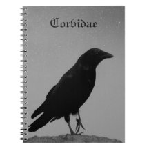 Nacht mit Corvidae