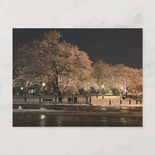 Nacht Schnee Salem Common Massachusetts Foto Postkarte